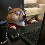 Study Smart